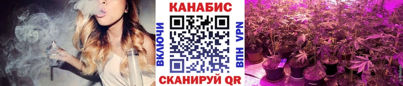 Шишки марихуана семена  Тайга 
